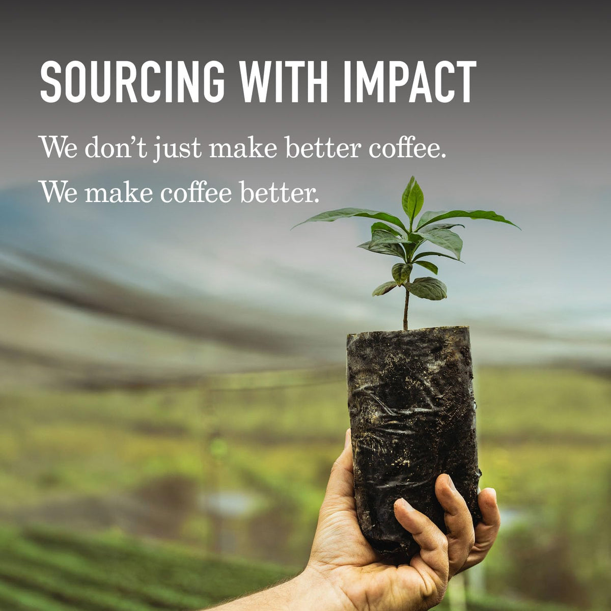 Peet's Coffee Ground Coffee Dark Roast, Organic French Roast, 18 Ounces