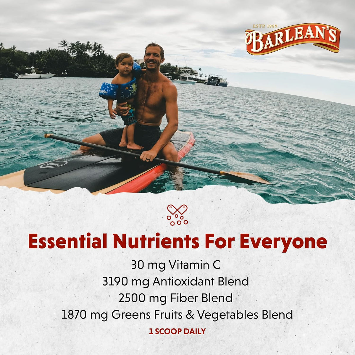 Barlean's Chocolate Greens Powder, Superfood Drink Mix, Vegan, 9.52oz